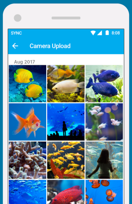 replacement for dropbox like sync