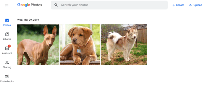 download photos to phone from computer with google photos