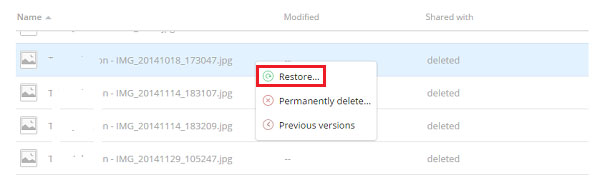 restore deleted files from trash bin