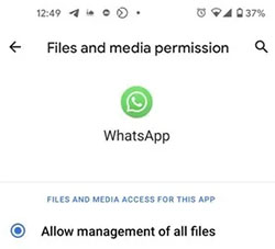 allow app to access whatsapp media