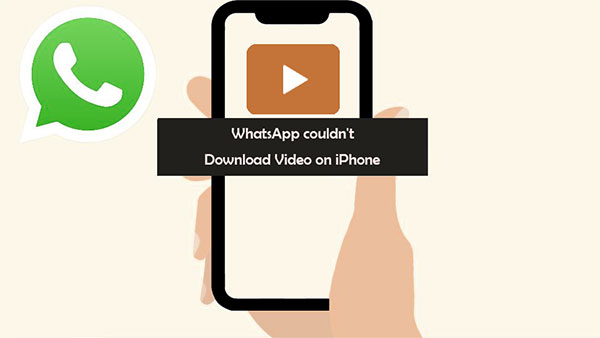 couldnt download video whatsapp iphone