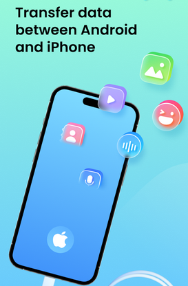 mutsapper chat app transfer