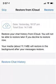 restore whatsapp business backup from icloud