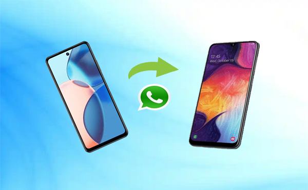 whatsapp chat transfer not working