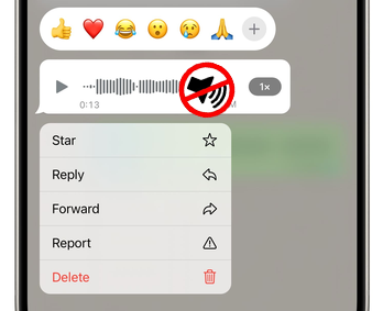 whatsapp voice message not working