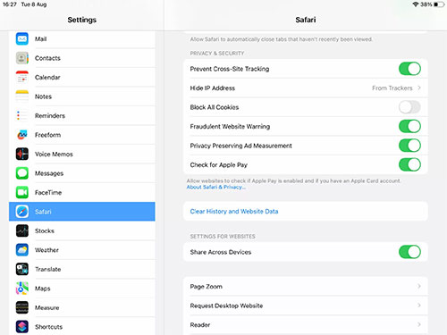 clear browser cache on ipad