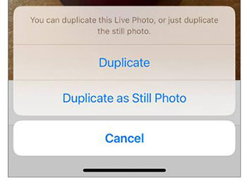 duplicate as still photo