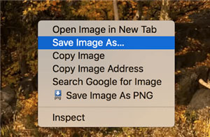 how to download heic photos as jpg in google photos