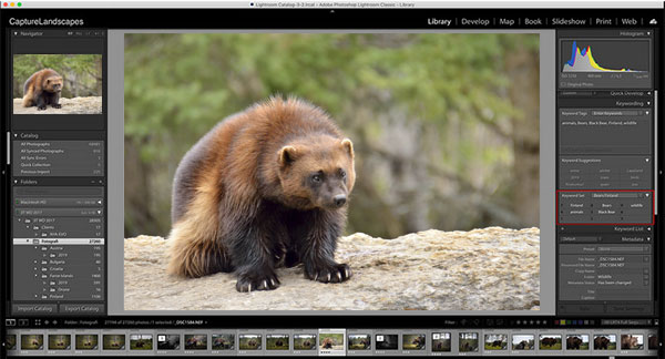 import heic to lightroom on mac