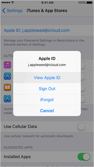 sign in with the same apple id