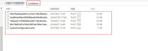 remove files in lockdown folder