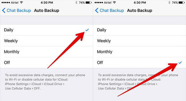 turn off icloud auto backup