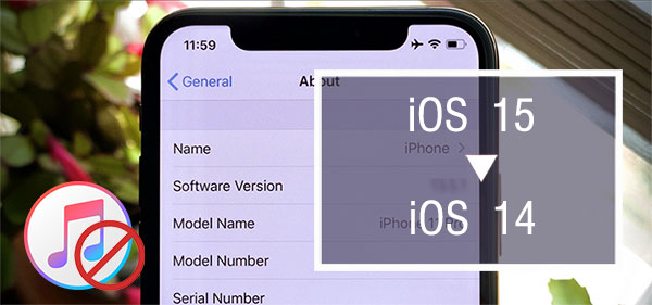 Want to Downgrade iOS 15 Beta to iOS 14 without iTunes? 3 Simple Ways are Here!
