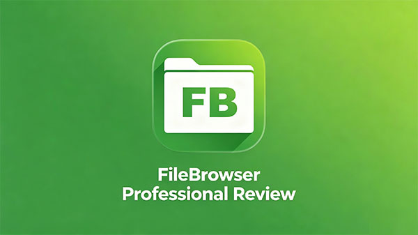 filebrowser professional review