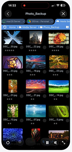 how to use filebrowser professional