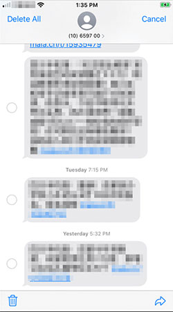 how to copy imessages from iphone over email