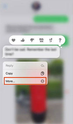 choose more from conversation settings