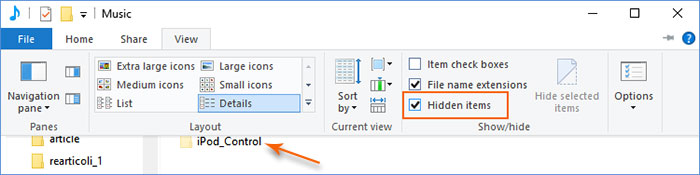 show hidden items in file explorer