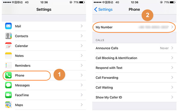 view your number in iphone settings