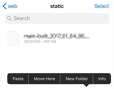 paste files from iphone to flash drive with files app