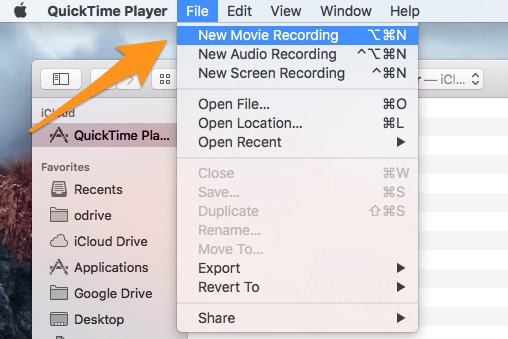 launch quicktime player and open a new recording