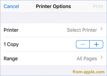 set printer options