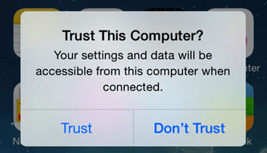 trust this computer