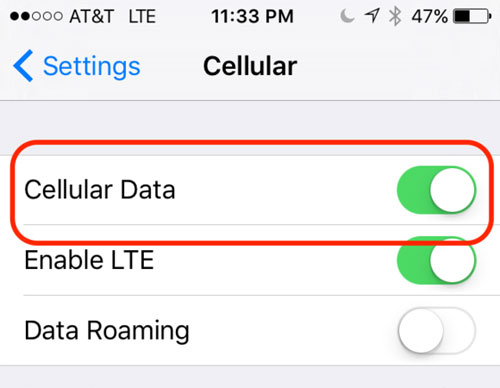 open up cellular data on iphone