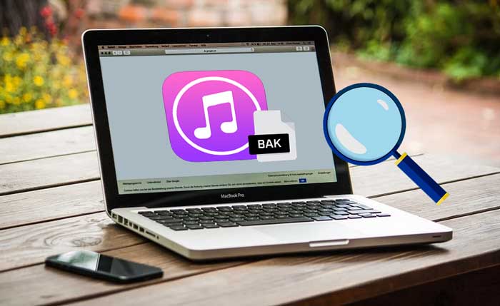 view itunes backup