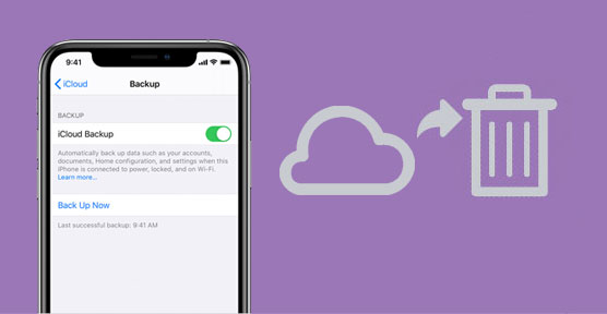 cant delete icloud backup