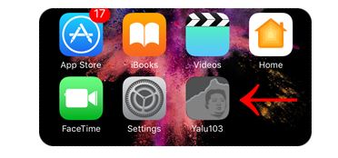 add yalu to your idevice