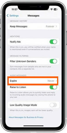 save voice messages to messages app