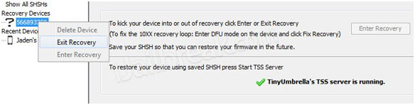 downgrade-idevice-with-tinyumbrella-5.jpg