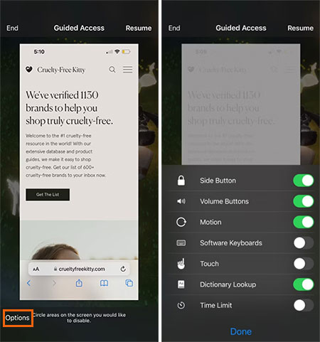 review guided access settings
