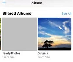 shared album in iphone