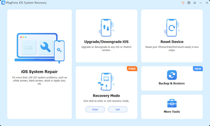 how to use magfone ios system recovery