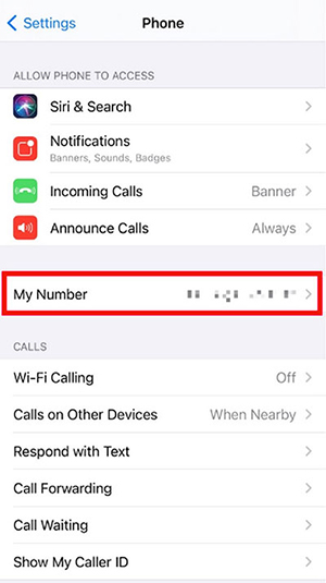 find your phone number in settings
