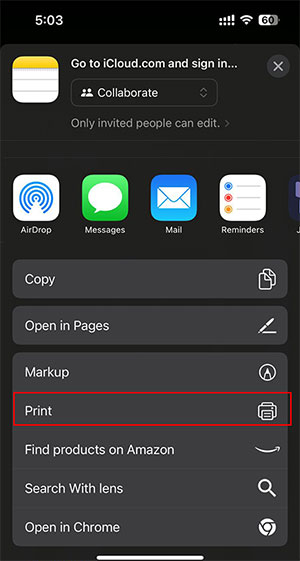 print icloud notes from iphone