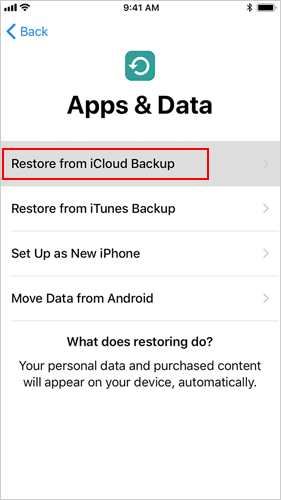 restore from icloud backup