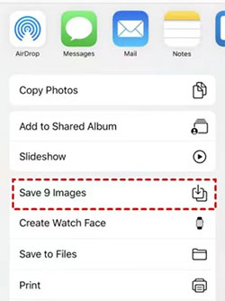 download icloud videos from shared album
