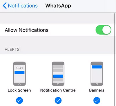 enable whatsapp notifications
