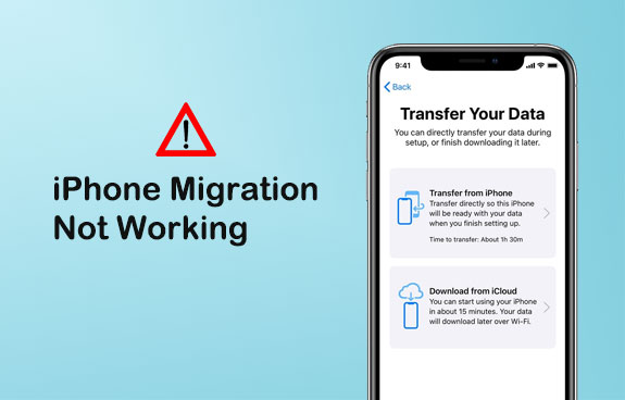 iphone transfer not working