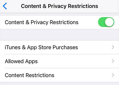 remove camera restriction to fix missing camera icon on iphone