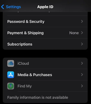 icloud greyed out