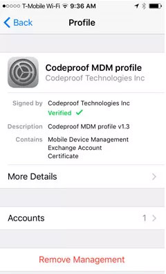 remove mdm from ipad without computer via ipad settings