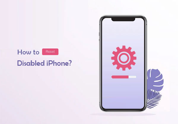 how to reset disabled iphone