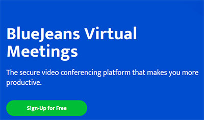 virtual meeting platform like bluejeans